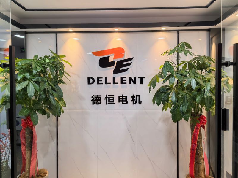 Çin Fuan Dellent Electric &amp; Machinery Co., Ltd. şirket Profili